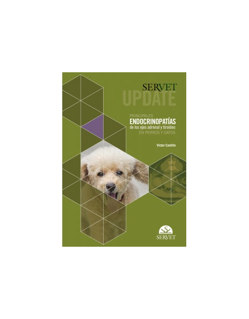 Servet Update. Principales Endocrinopatías De Los Ejes Adrenal Y Tiroideo En Perros Y Gatos