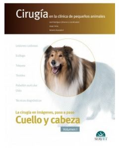 Cirugía En La Clínica De Pequeños Animales. Cuello Y Cabeza. Vol. I