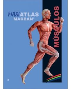 Maxi Atlas Vol. 3: Músculos