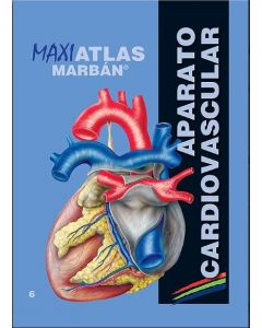 Maxi Atlas, Vol. 6: Aparato Cardiovascular