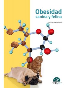 Obesidad Canina Y Felina