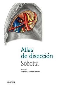 Sobotta atlas de disección .